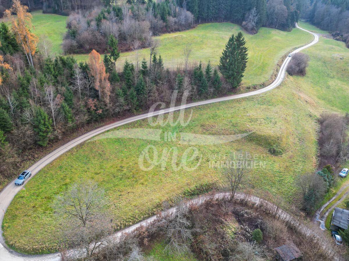 Luftaufnahme einer weitläufigen Grünfläche mit einem kurvigen Weg, der sich durch die Landschaft schlängelt.