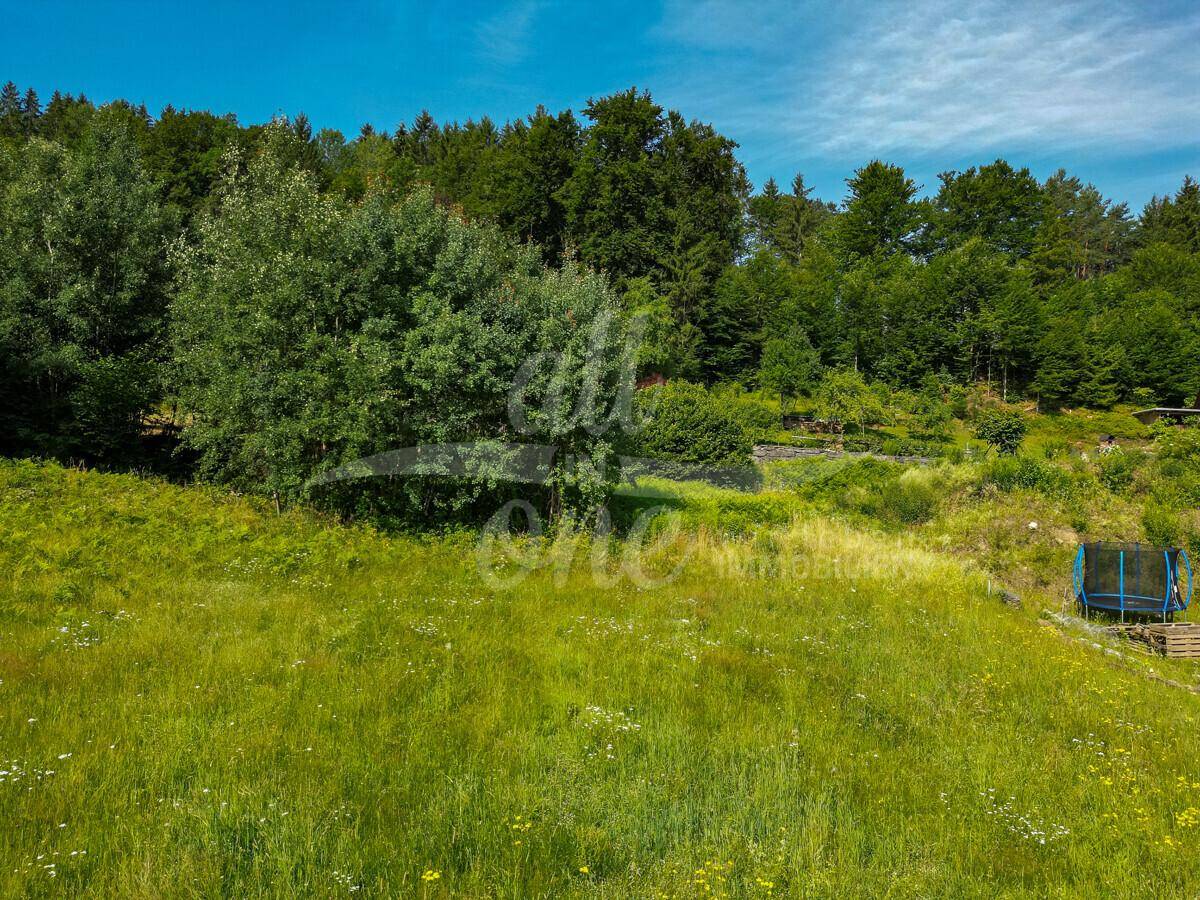 Grüne Wiese mit hohen Gräsern und Bäumen im Hintergrund, ideal für einen Garten.