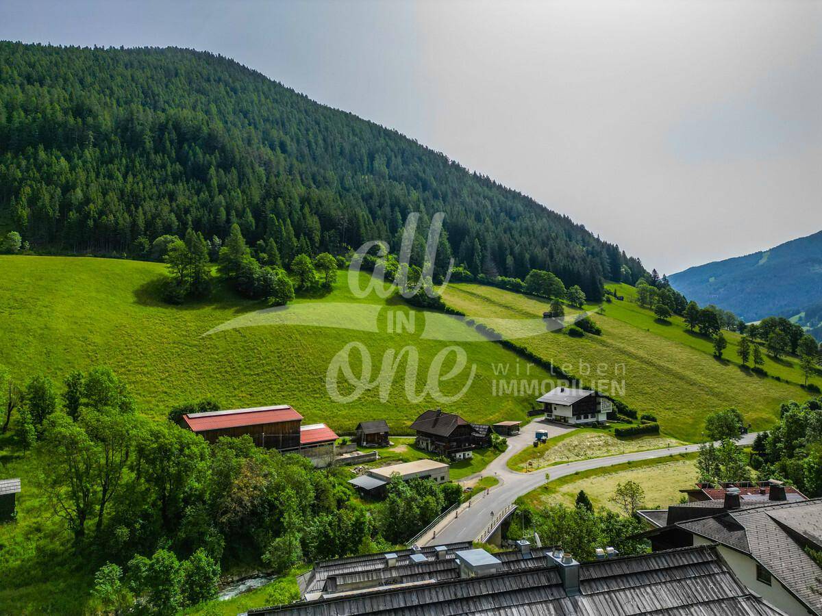 Luftaufnahme einer ländlichen Gegend mit grünen Feldern, vereinzelten Häusern und einem bewaldeten Berg.