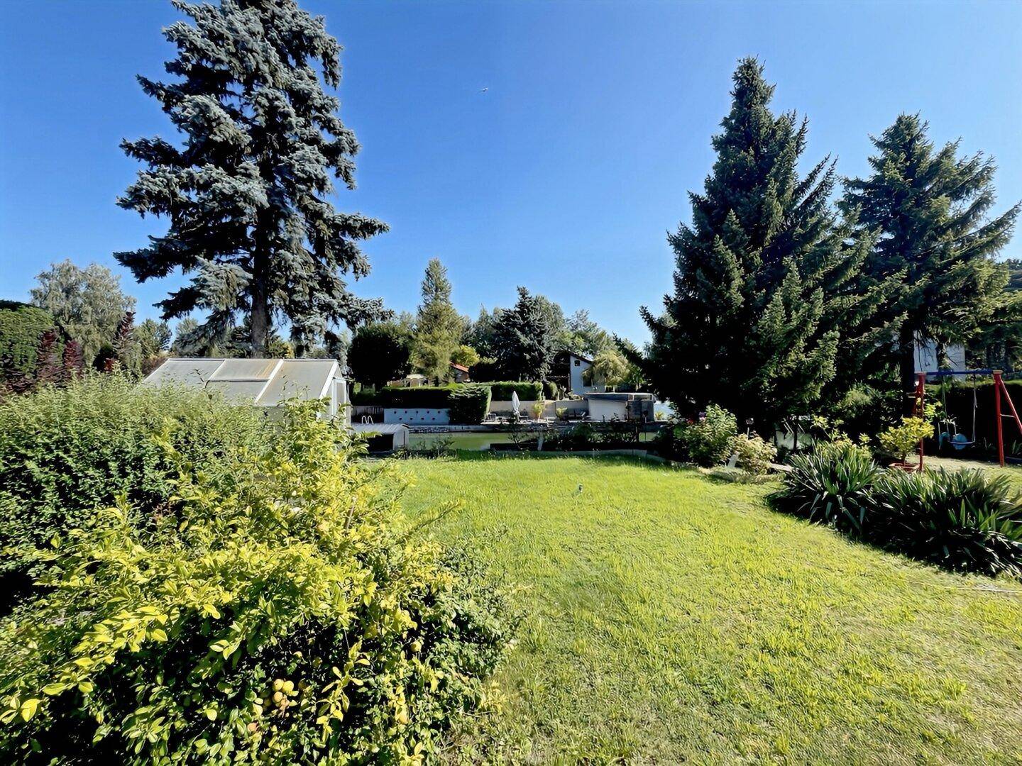Großer, grüner Gartenbereich mit hohen Bäumen und einem Gewächshaus im Hintergrund.