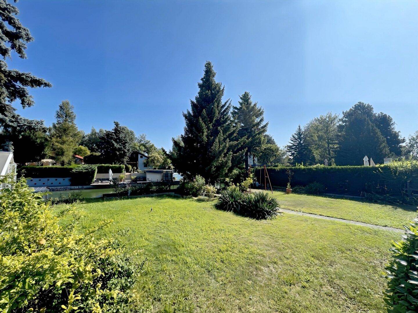 Großer, gepflegter Garten mit Rasenfläche, hohen Bäumen und Schaukel im Hintergrund.