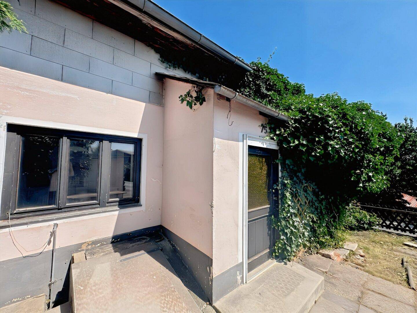 Seitlicher Eingangsbereich des Hauses mit einer Tür und Fenstern, umgeben von Kletterpflanzen.