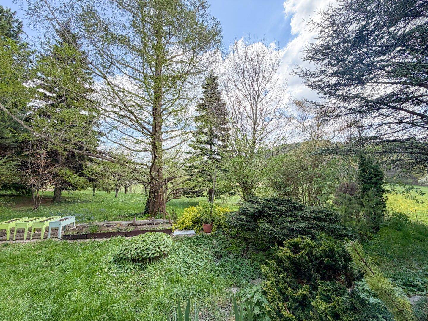 Grüner Gartenbereich mit hohen Bäumen, Rasenflächen und Hochbeeten unter blauem Himmel.
