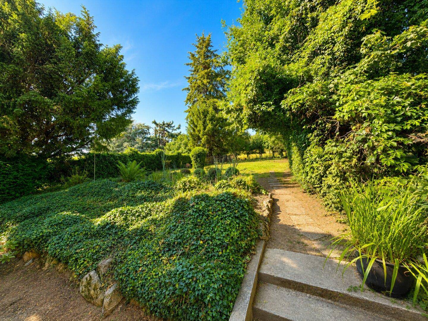 Idyllischer Gartenweg umgeben von üppigem Grün und hohen Bäumen an einem sonnigen Tag.