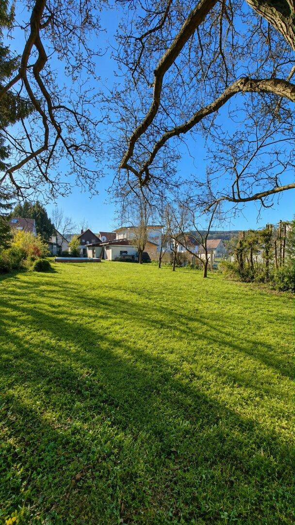 Große Rasenfläche mit Bäumen und Blick auf die umliegenden Häuser an einem sonnigen Tag.