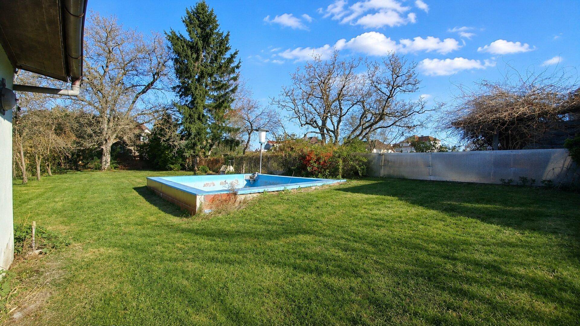 Garten mit Rasenfläche, einem rechteckigen Pool und verschiedenen Bäumen, inklusive eines Gewächshauses.