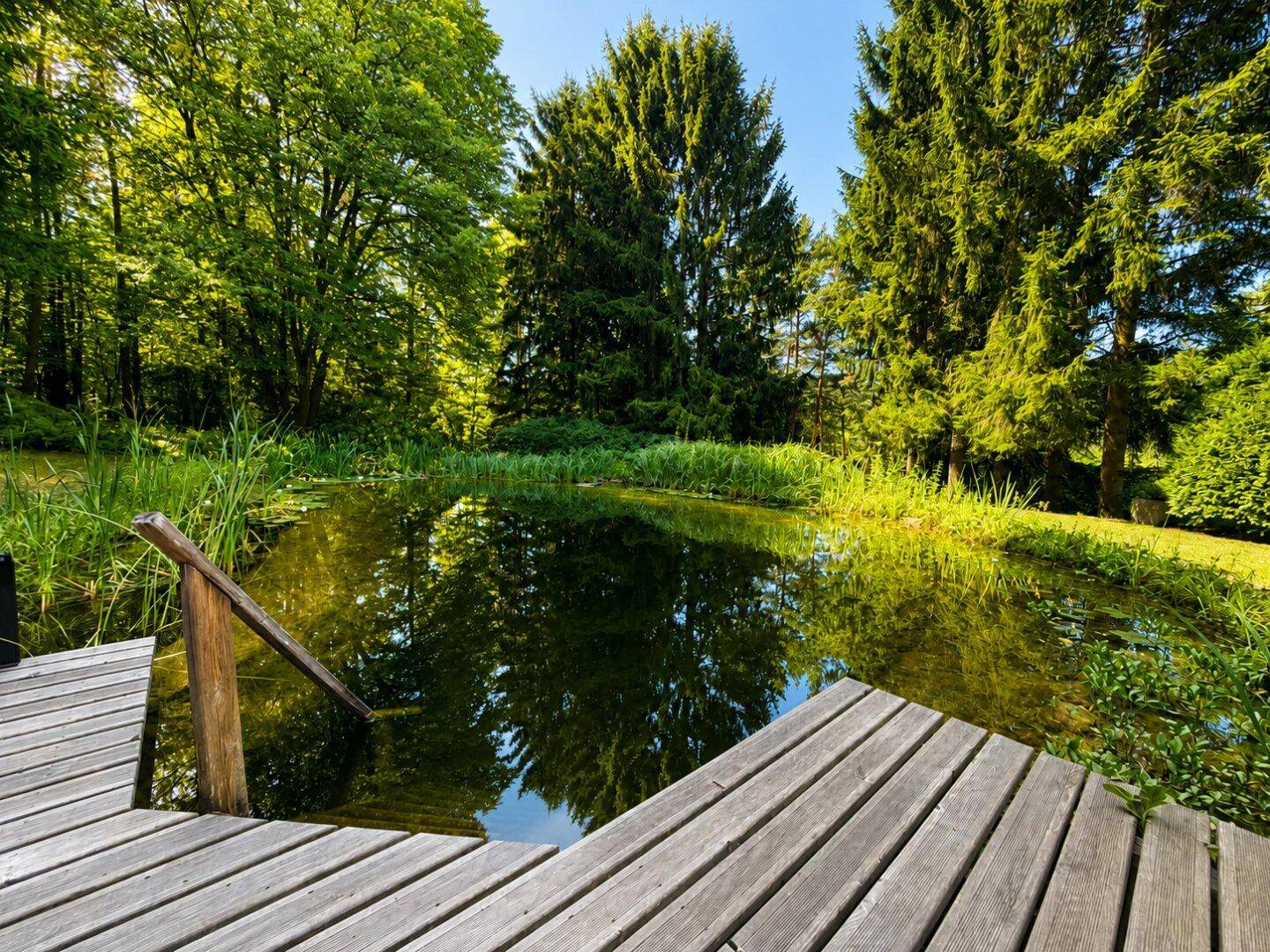 Nahaufnahme des natürlichen Teiches mit Holzsteg, umgeben von üppiger Vegetation und Bäumen.