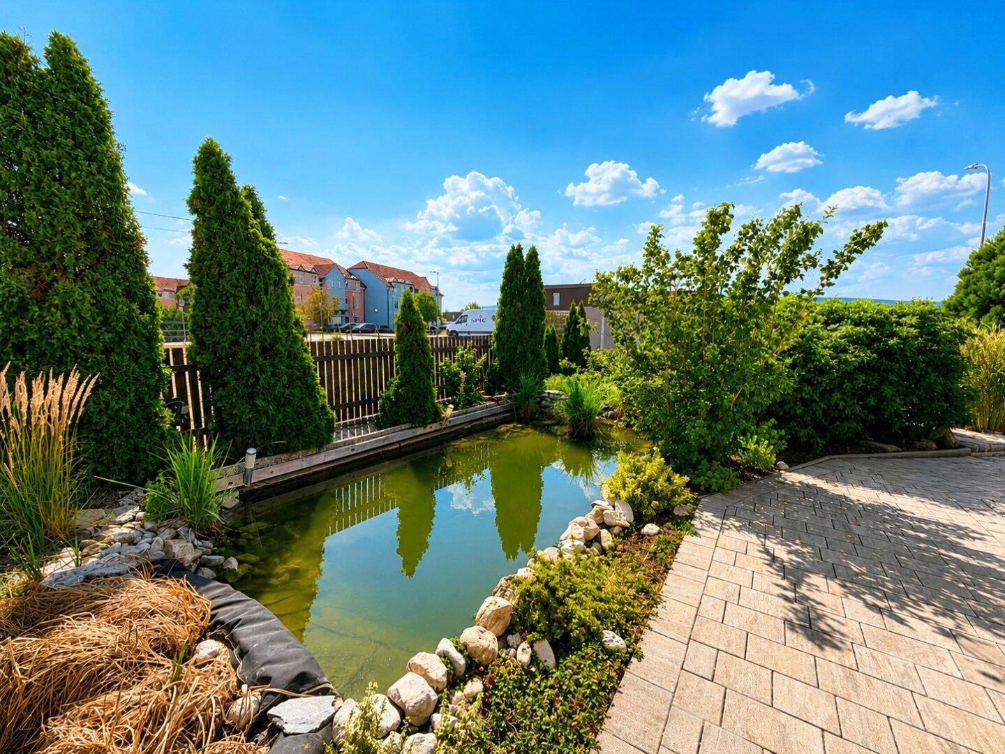 Detailansicht des Gartenteichs mit Wasserpflanzen und umgebender Bepflanzung.