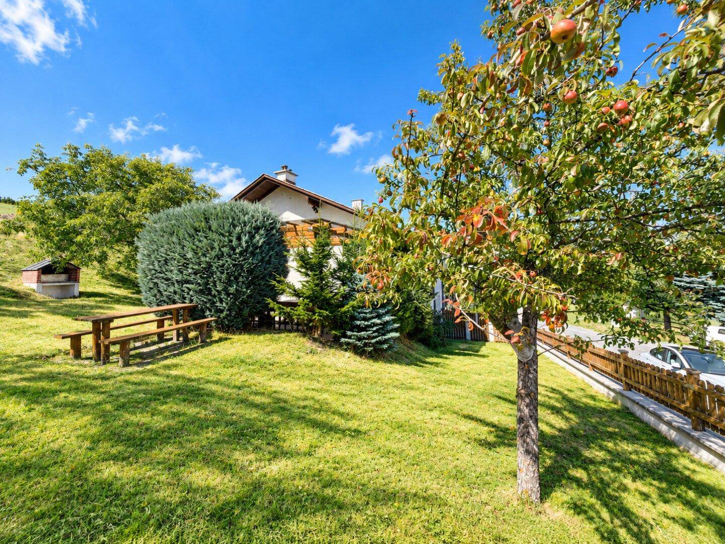 Sonniger Garten mit Obstbaum und Picknicktisch, umgeben von Rasen und Blick auf das Haus.