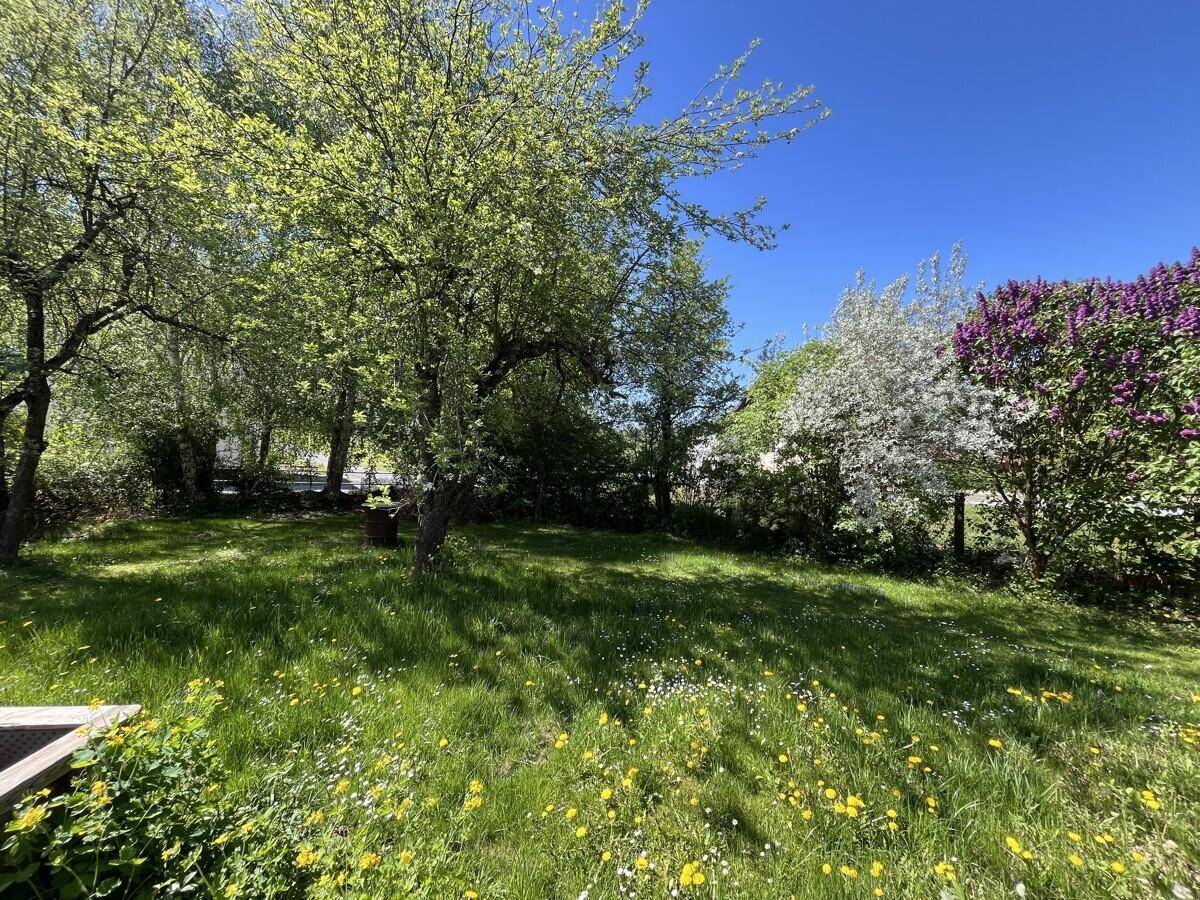Sonniger Garten mit grüner Rasenfläche, blühenden Blumen und alten Bäumen unter blauem Himmel.
