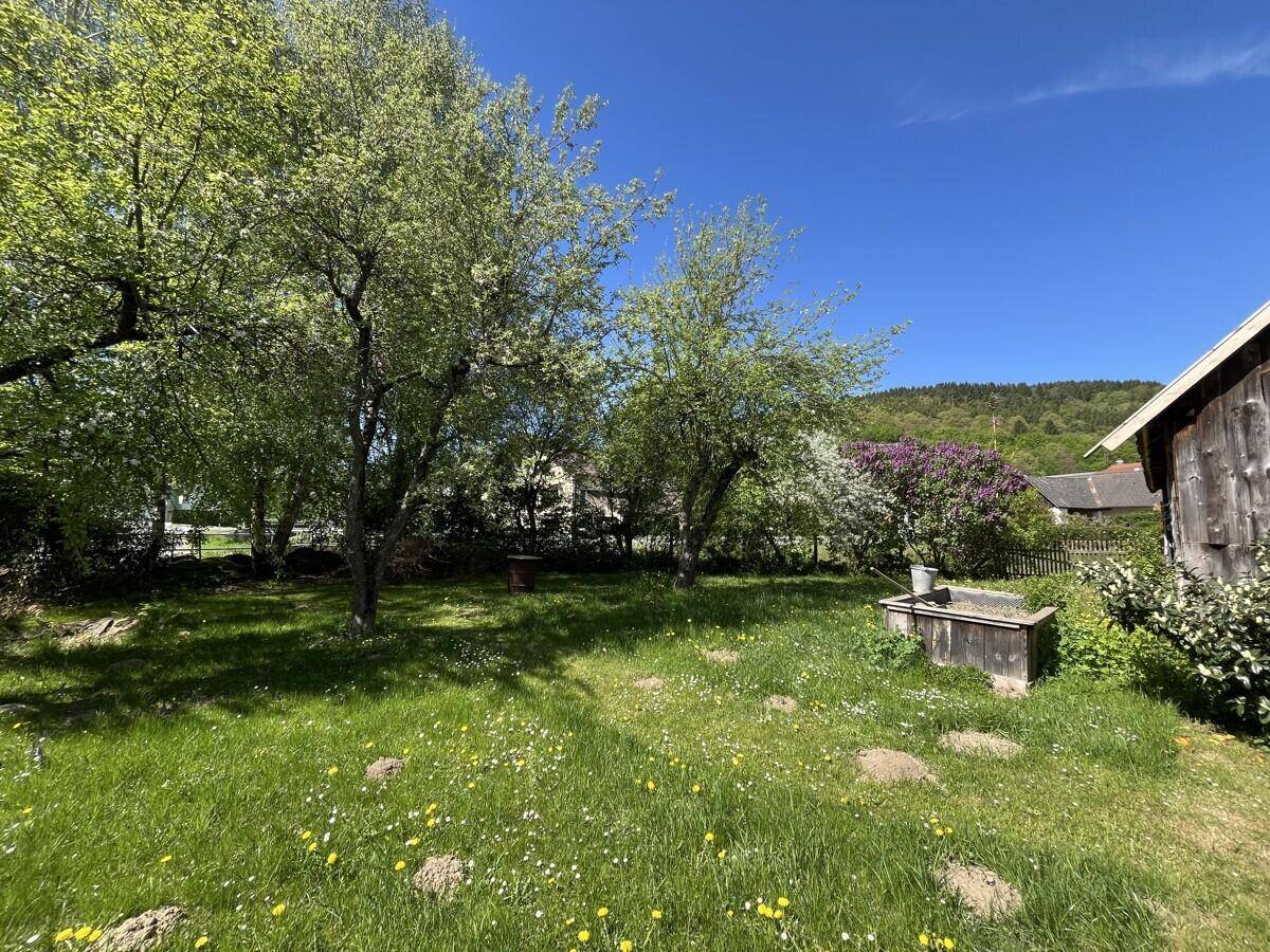 Großer Garten mit Bäumen, Rasenfläche und ländlicher Umgebung an einem sonnigen Tag.