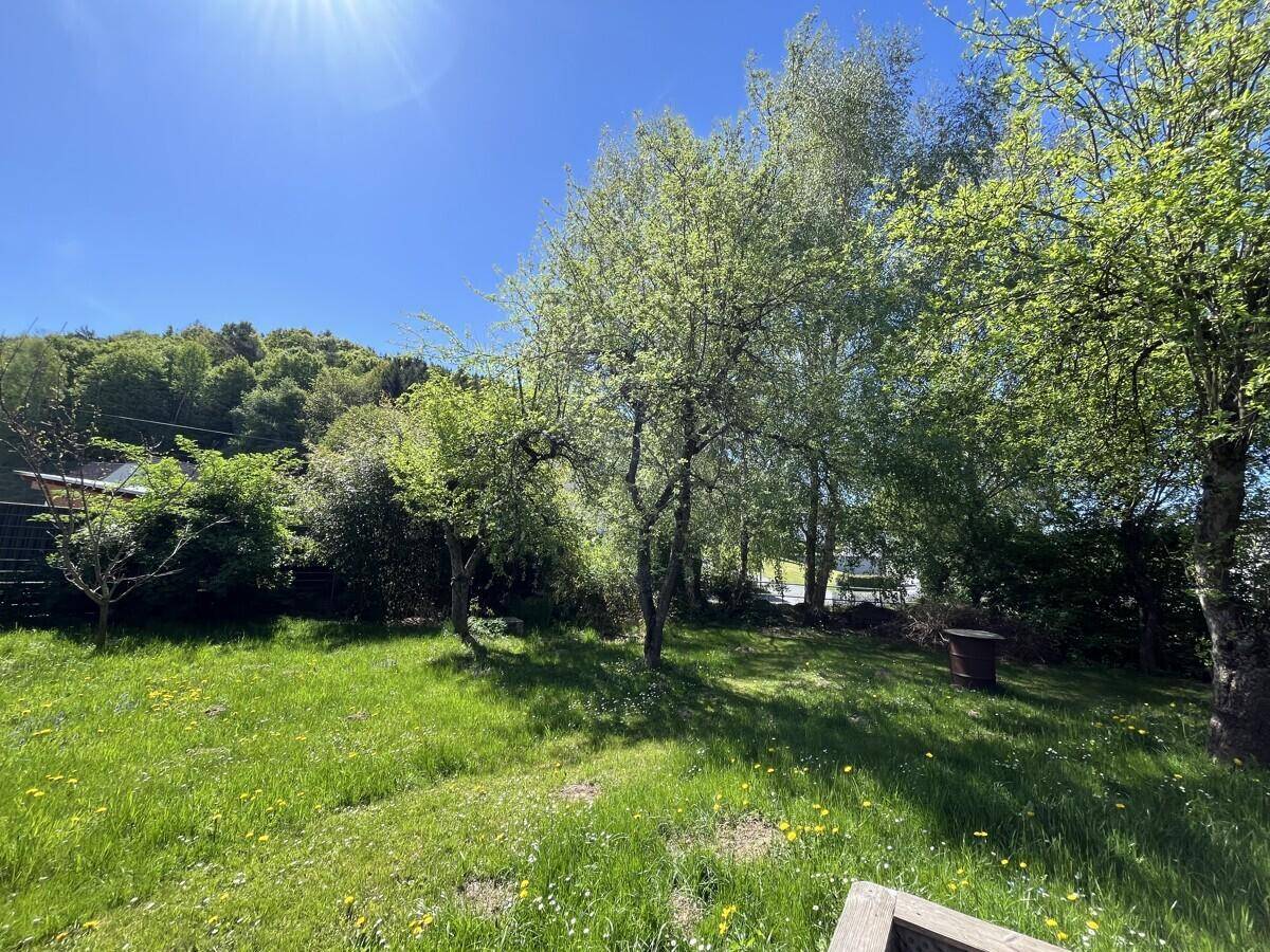 Weitläufiger Garten mit Bäumen und grüner Rasenfläche unter blauem Himmel.