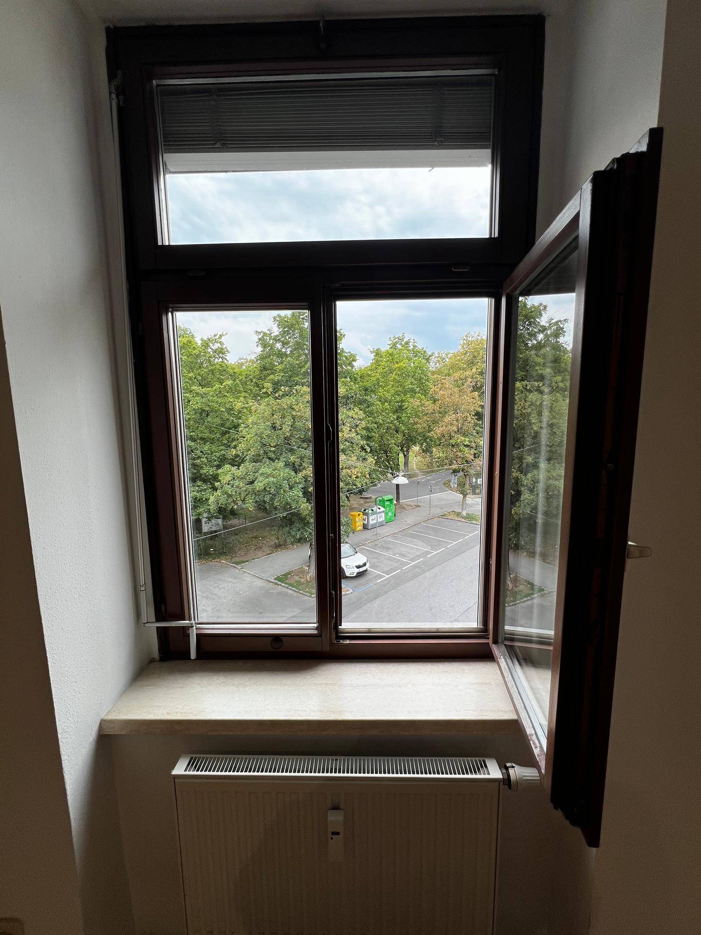 Fenster mit Blick auf die Straße und Bäume, das Tageslicht hereinlässt.