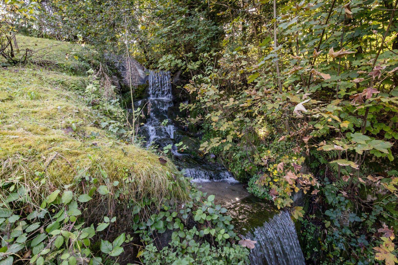 Natürlicher Wasserfall im üppigen Garten, umgeben von Bäumen und Grünpflanzen.