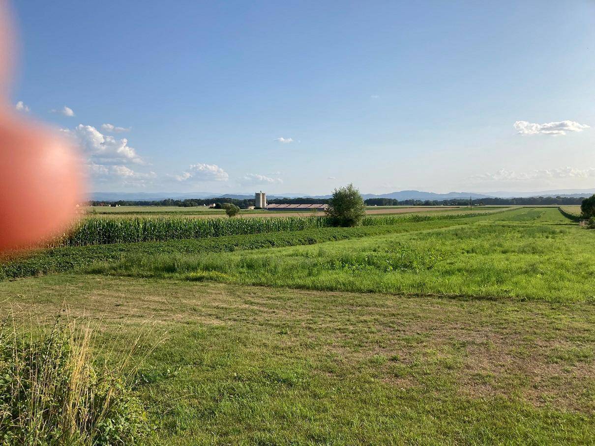 Weitläufige grüne Felder unter blauem Himmel mit Bergen im Hintergrund und landwirtschaftlichen Strukturen.