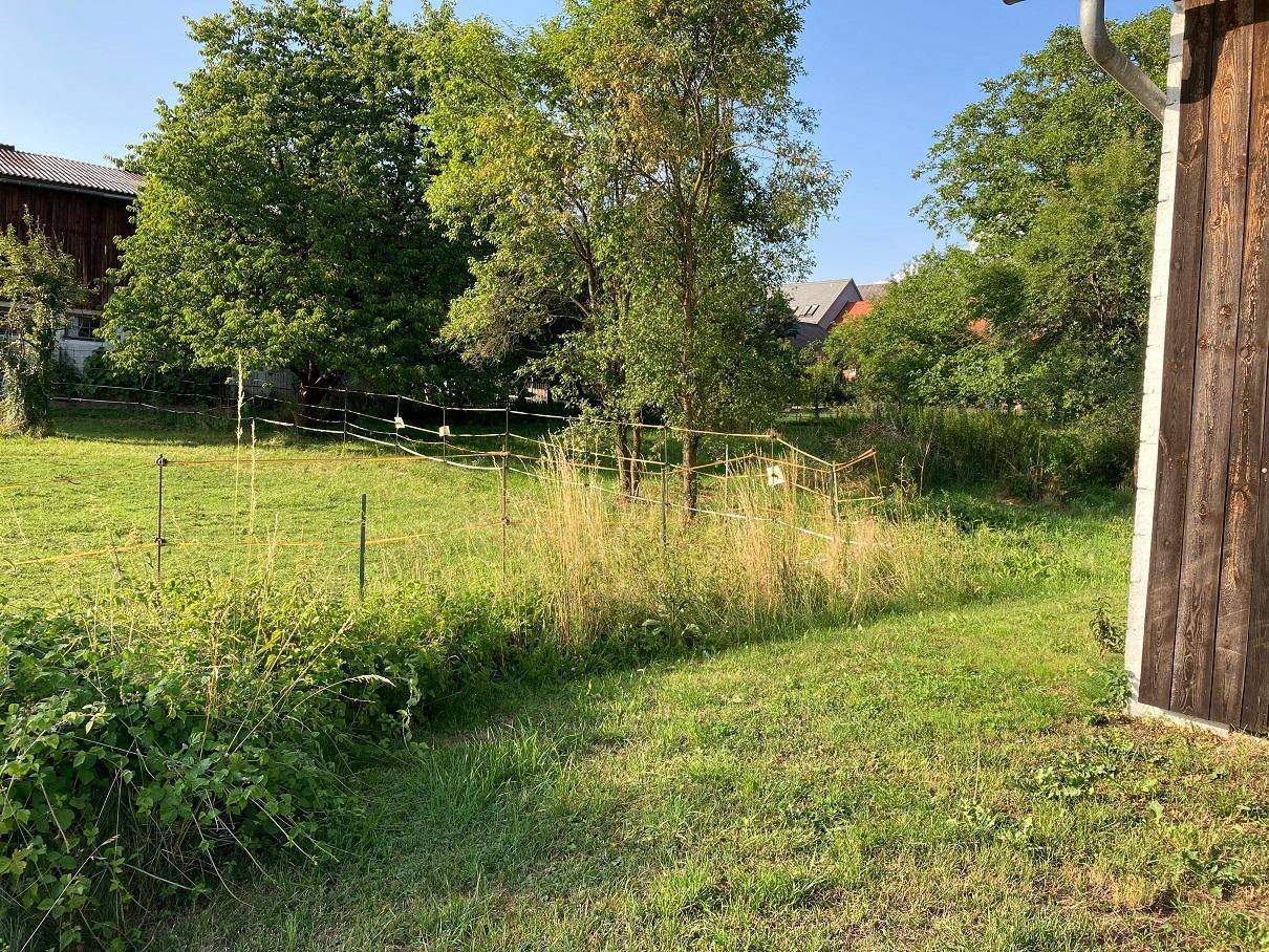 Grüne Wiese mit einem Zaun, einem Teil eines Holzgebäudes und weiteren Häusern im Hintergrund.