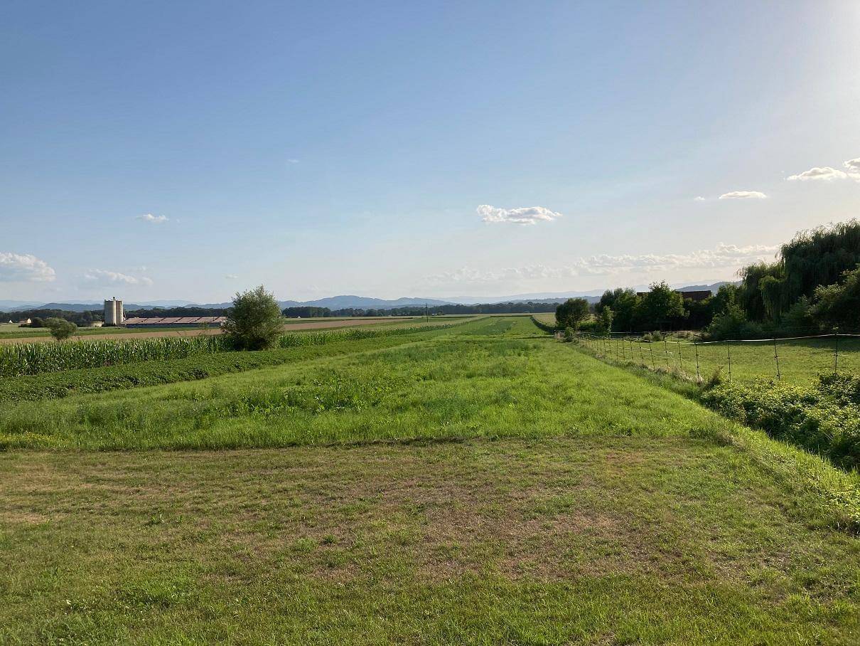 Panoramablick über weite grüne Felder mit Bergen am Horizont und landwirtschaftlichen Gebäuden in der Ferne.