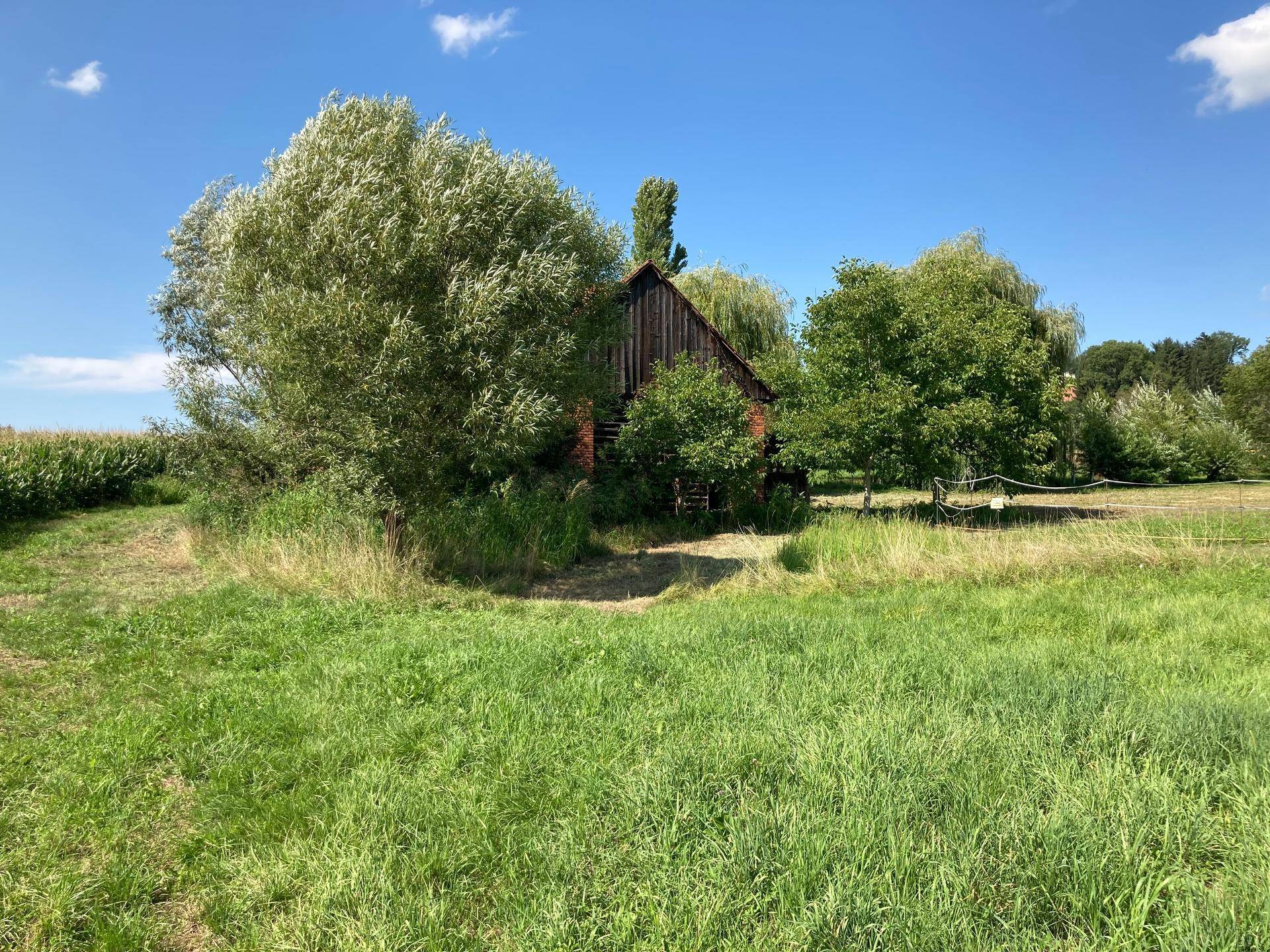 Altes, rustikales Holzgebäude umgeben von üppigem Grün und hohen Bäumen auf einer sonnigen Wiese.