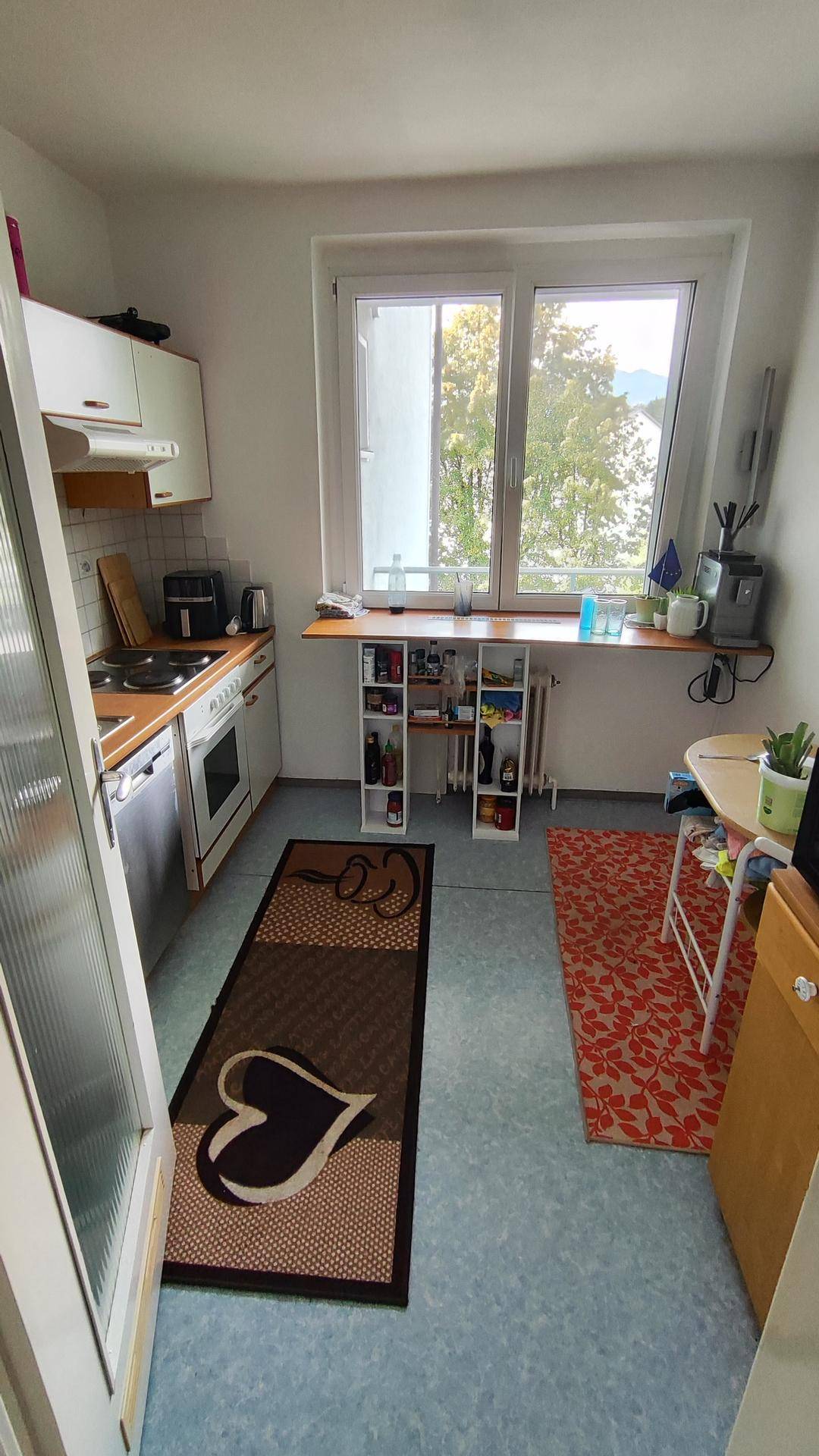 Kleine Küche mit Fenster, Einbauschränken und Blick ins Grüne.