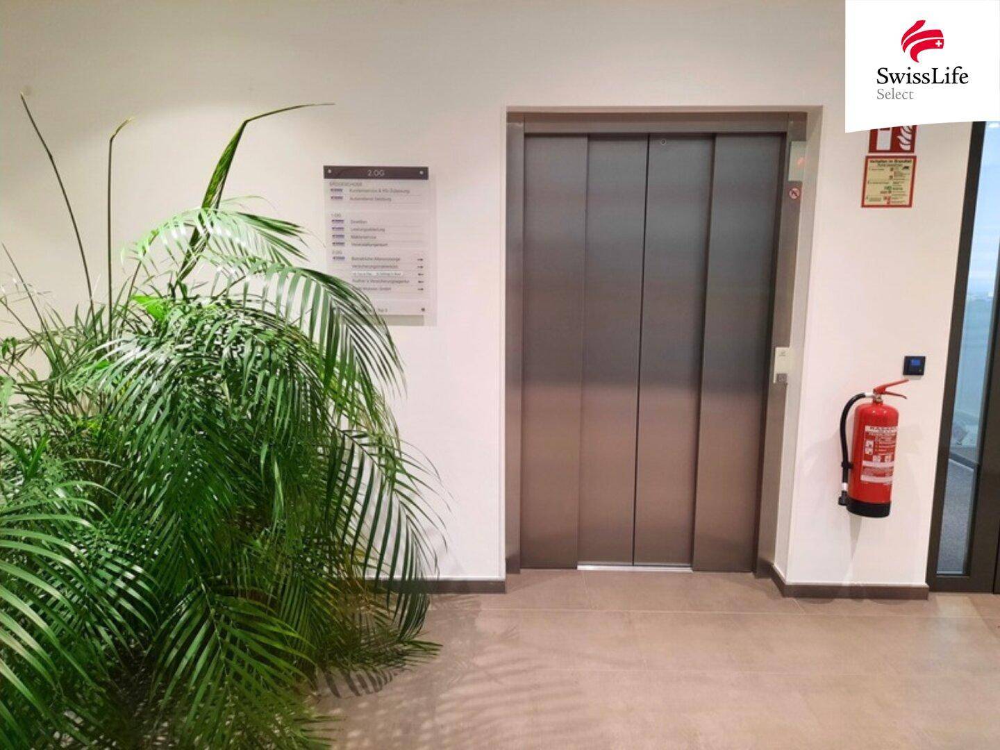 Flur mit einem modernen Aufzug, einer großen Zimmerpflanze und einem roten Feuerlöscher an der Wand.