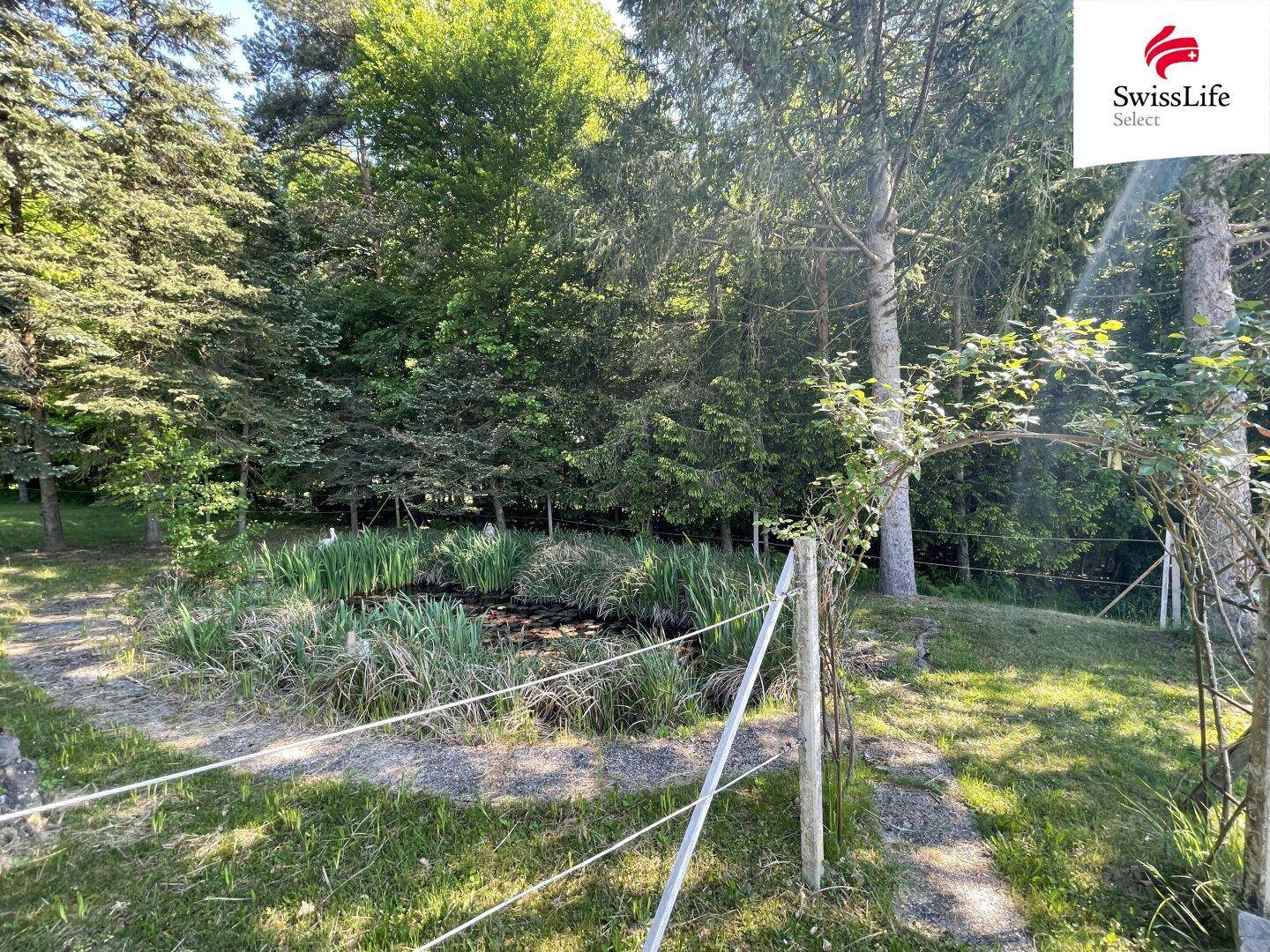 Slide 5
