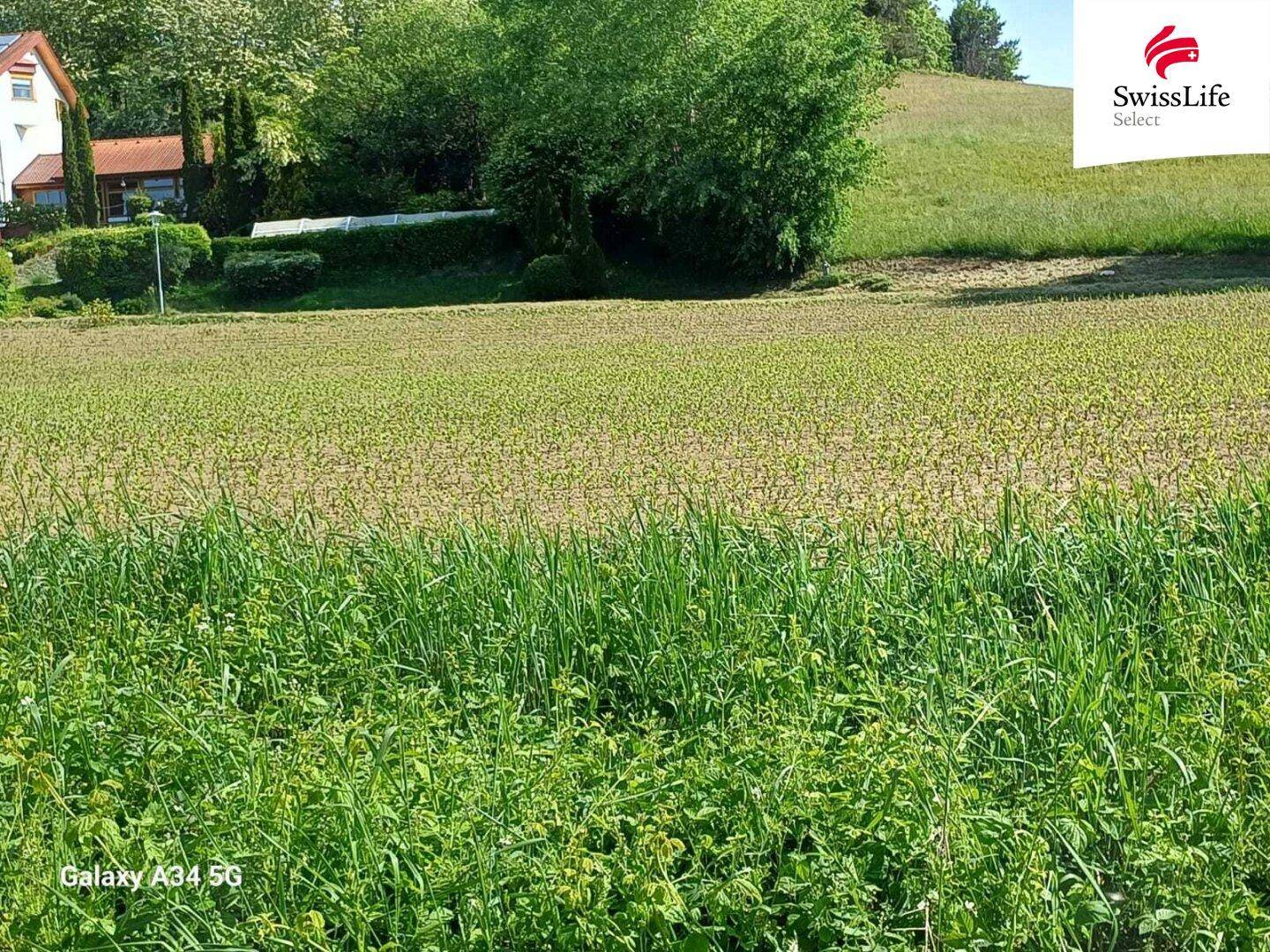 Blick über ein Feld mit einem Wohnhaus am linken Rand und bewaldeten Hügeln im Hintergrund.