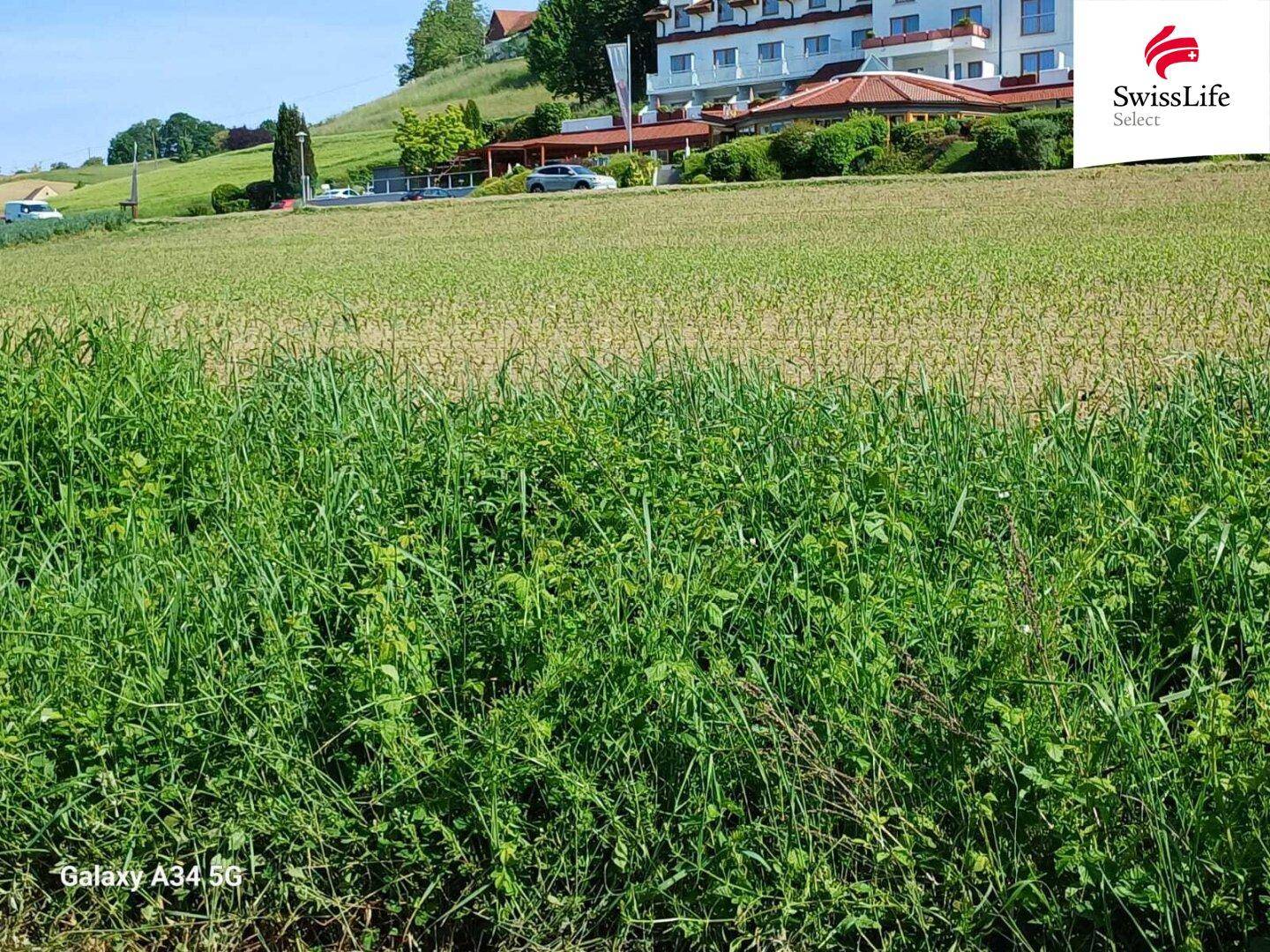 Weitläufiges Feld mit Blick auf ein großes Gebäude auf einem Hügel im Hintergrund unter blauem Himmel.