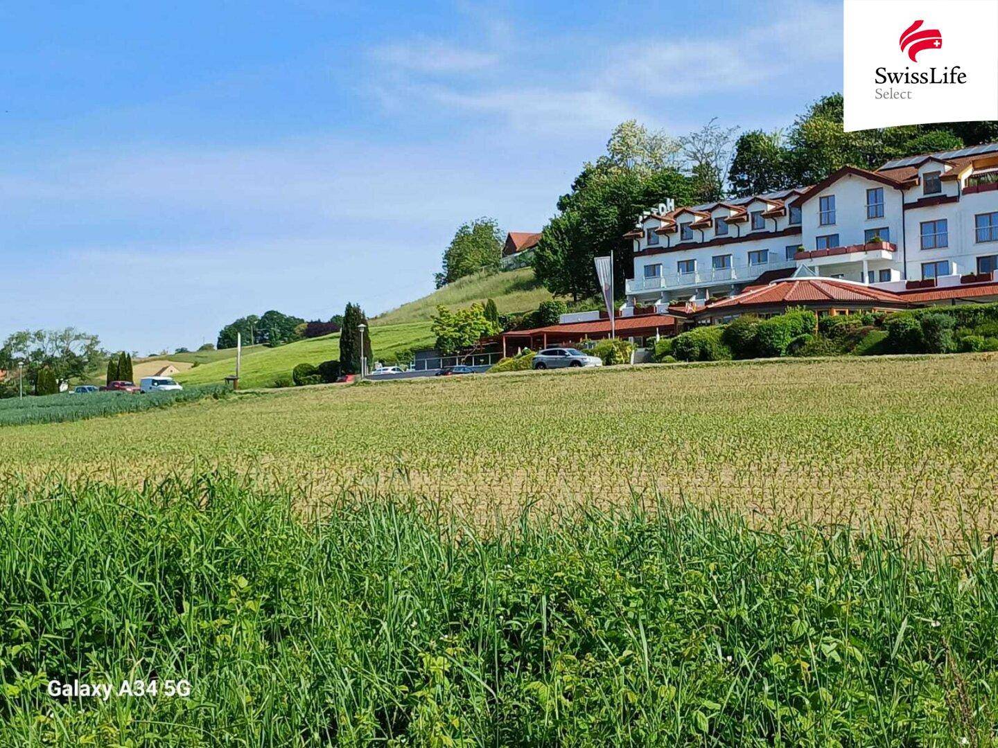 Blick über ein grünes Feld auf ein großes Anwesen, das sich auf einem sonnigen Hügel befindet.