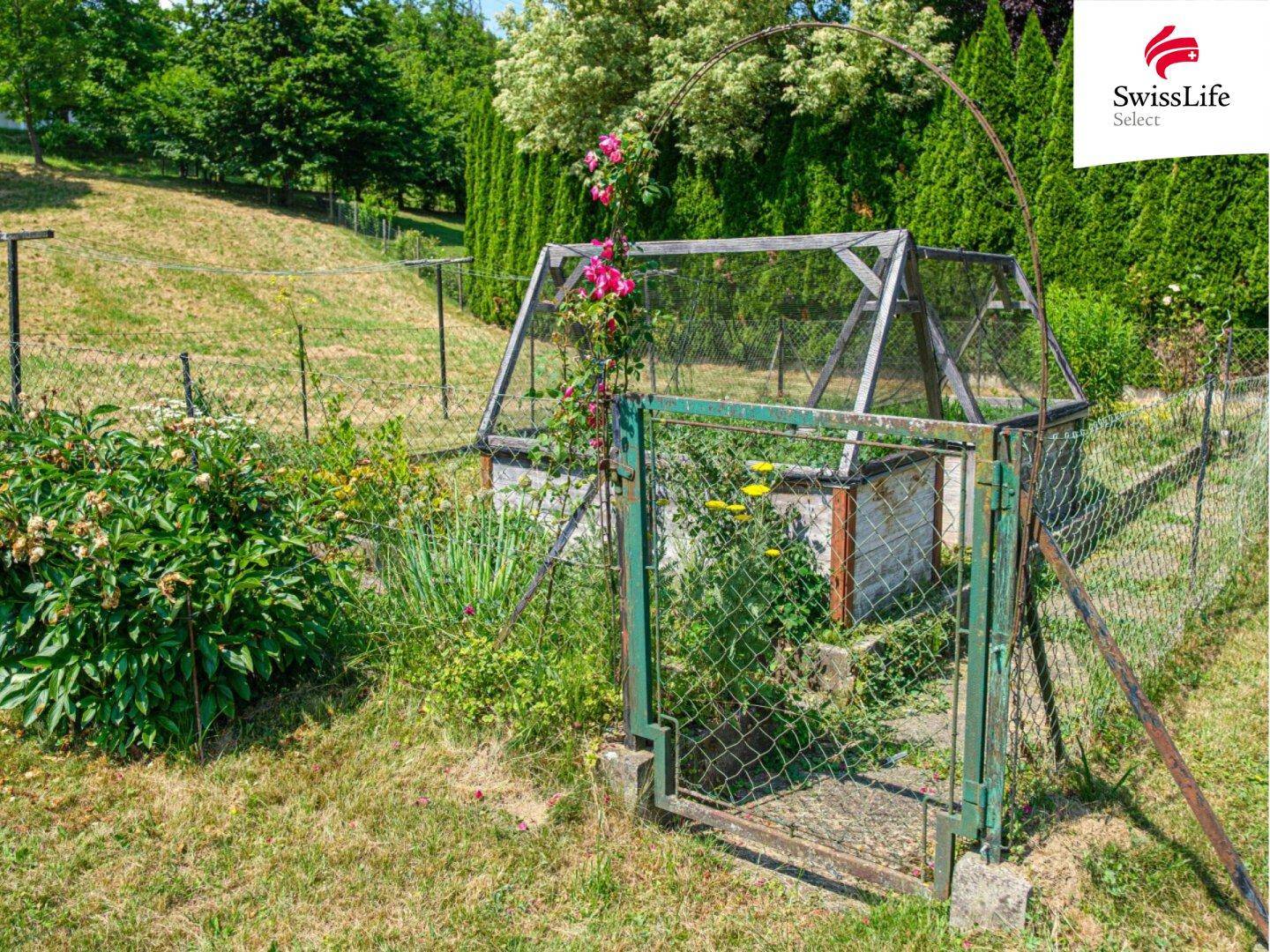 Eingezäunter Gartenbereich mit Pflanzen und Rosenranken, umgeben von grüner Natur.