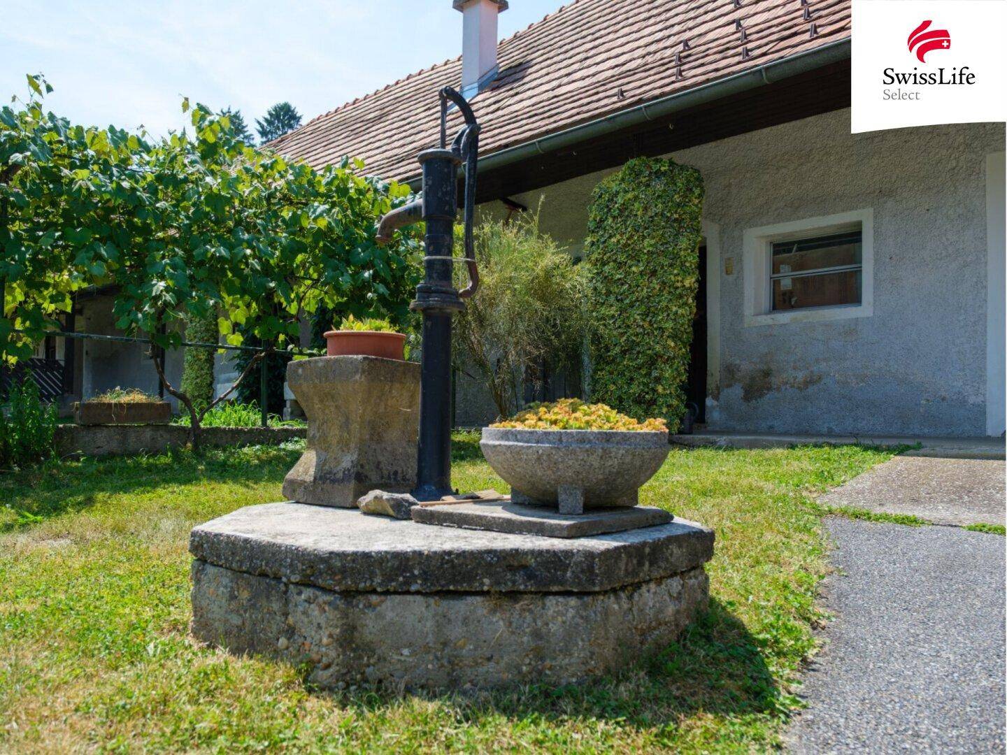 Historischer Brunnen im Gartenbereich mit üppiger Vegetation und altem Baumbestand.