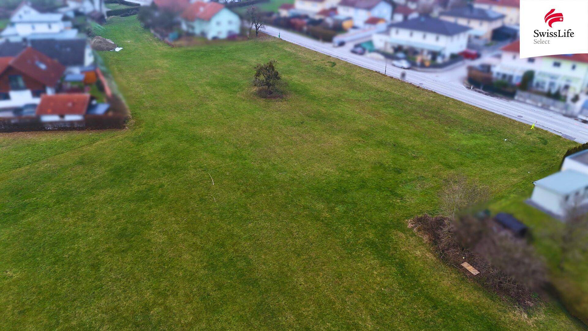 Weitläufiges Grüngrundstück aus der Vogelperspektive mit angrenzender Straße und Wohnbebauung.