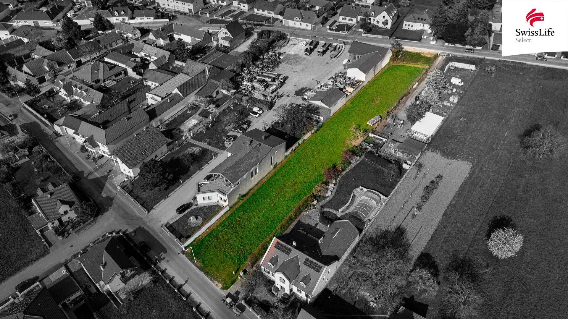 Traumgrundstück nahe Neusiedler See – viel Platz für Ihr Zuhause oder zwei Familien - Ansicht 4