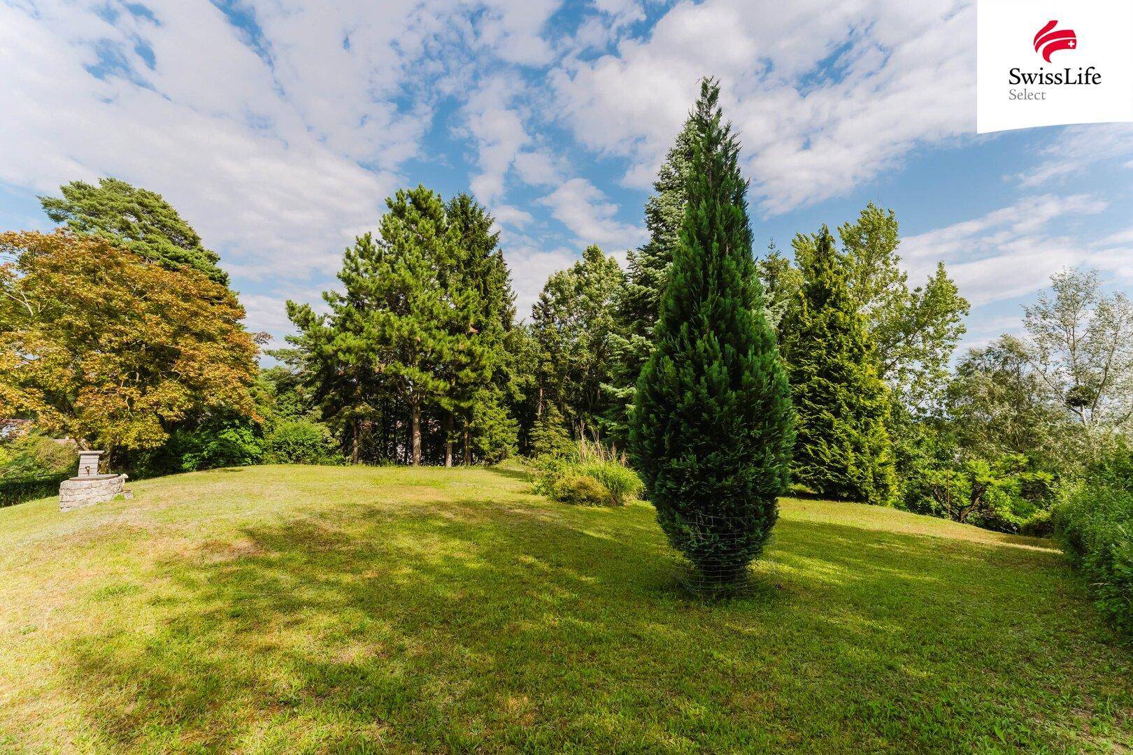 Großer, gepflegter Garten mit Rasenflächen und hohen Bäumen unter blauem Himmel.