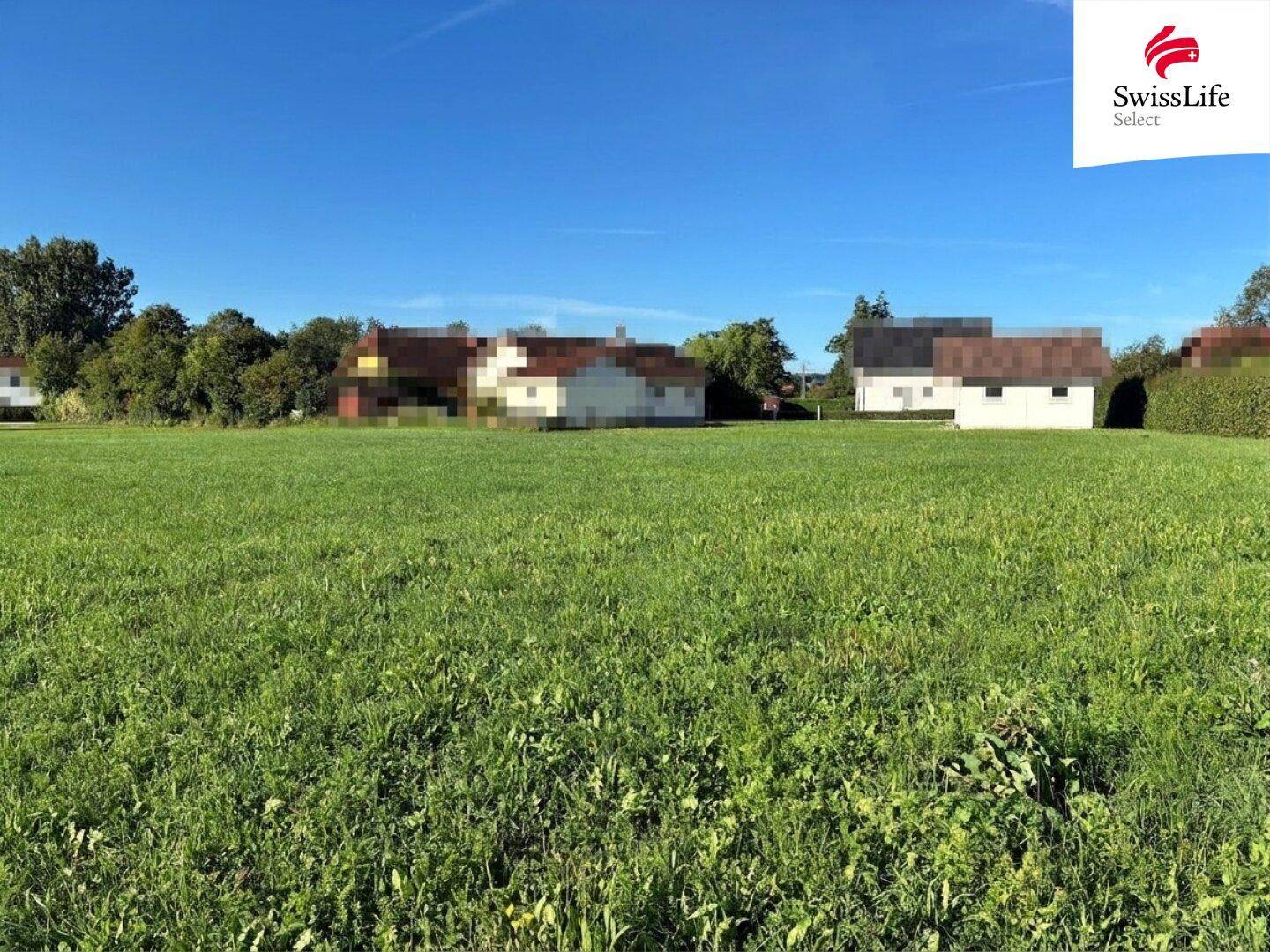 Offenes Feld mit Gras und Bäumen, im Hintergrund sind Häuser einer ländlichen Siedlung zu sehen.