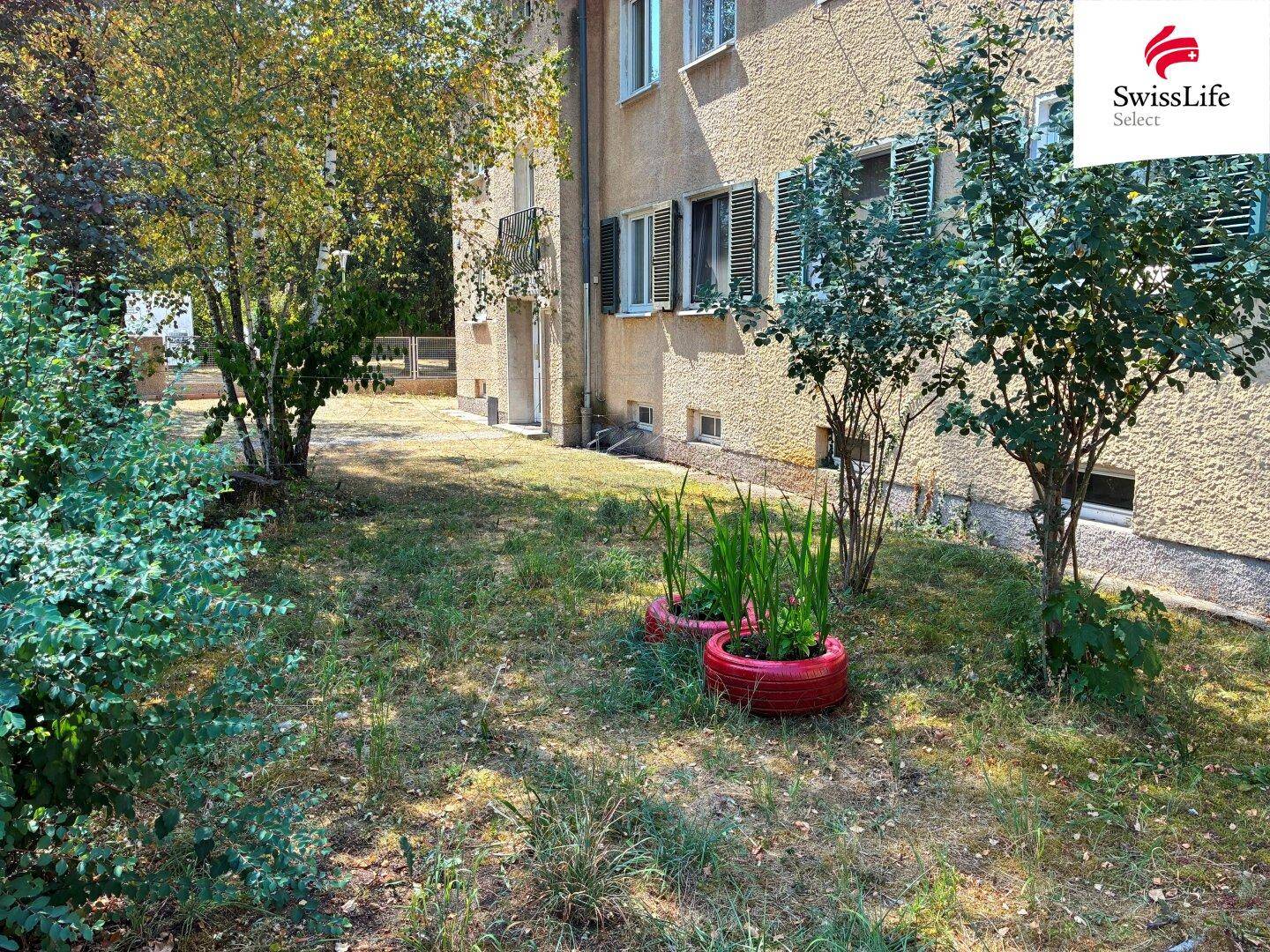 Seitlicher Gartenbereich mit Rasenfläche, jungen Bäumen und einigen Pflanzen in roten Behältern.