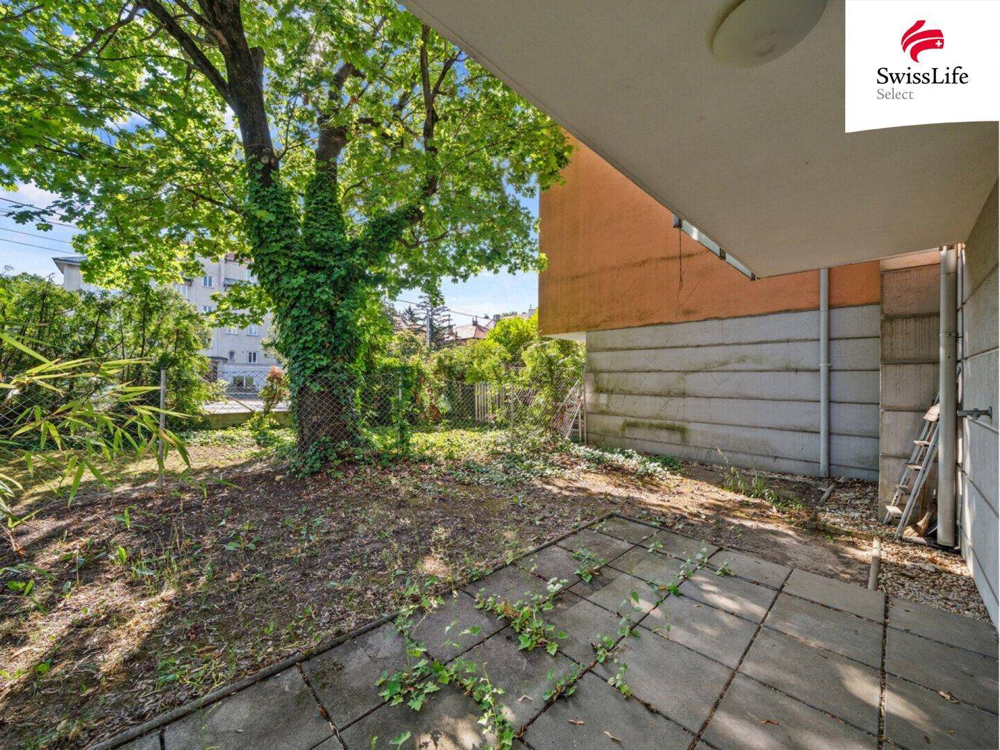 Ungepflegter Gartenbereich mit einem großen Baum und einer kleinen gepflasterten Fläche.