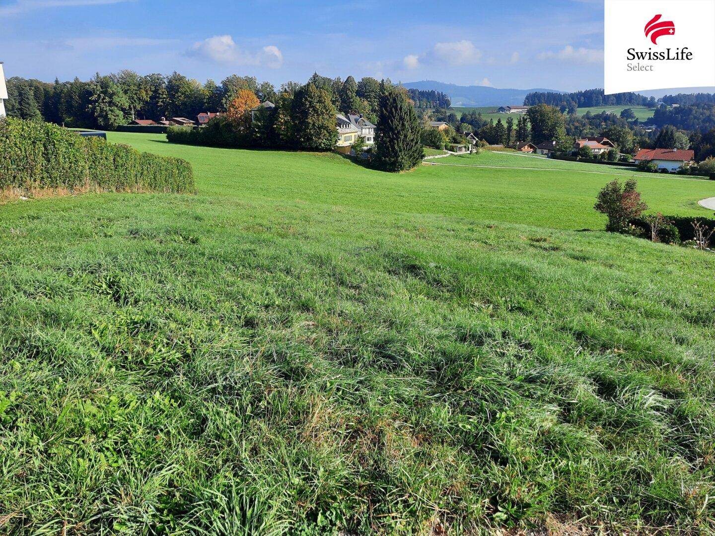 Grünes Feld mit leicht hügeliger Landschaft und vereinzelten Häusern im Hintergrund.