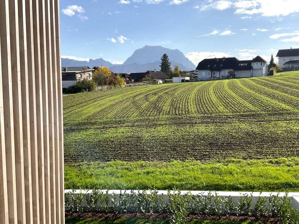 Weitläufiger Blick über grüne Felder und ländliche Umgebung mit majestätischen Bergen im Hintergrund.