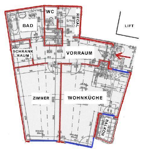 Detaillierter Grundriss einer Wohnung mit Wohnküche, Zimmer, Bad und Balkon.