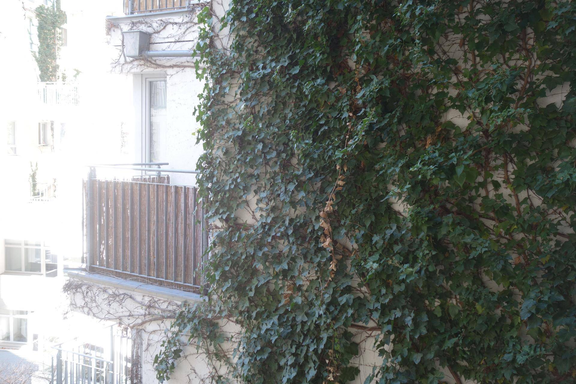 Fassade eines Gebäudes, teilweise mit Efeu bewachsen, mit einem kleinen Balkon.