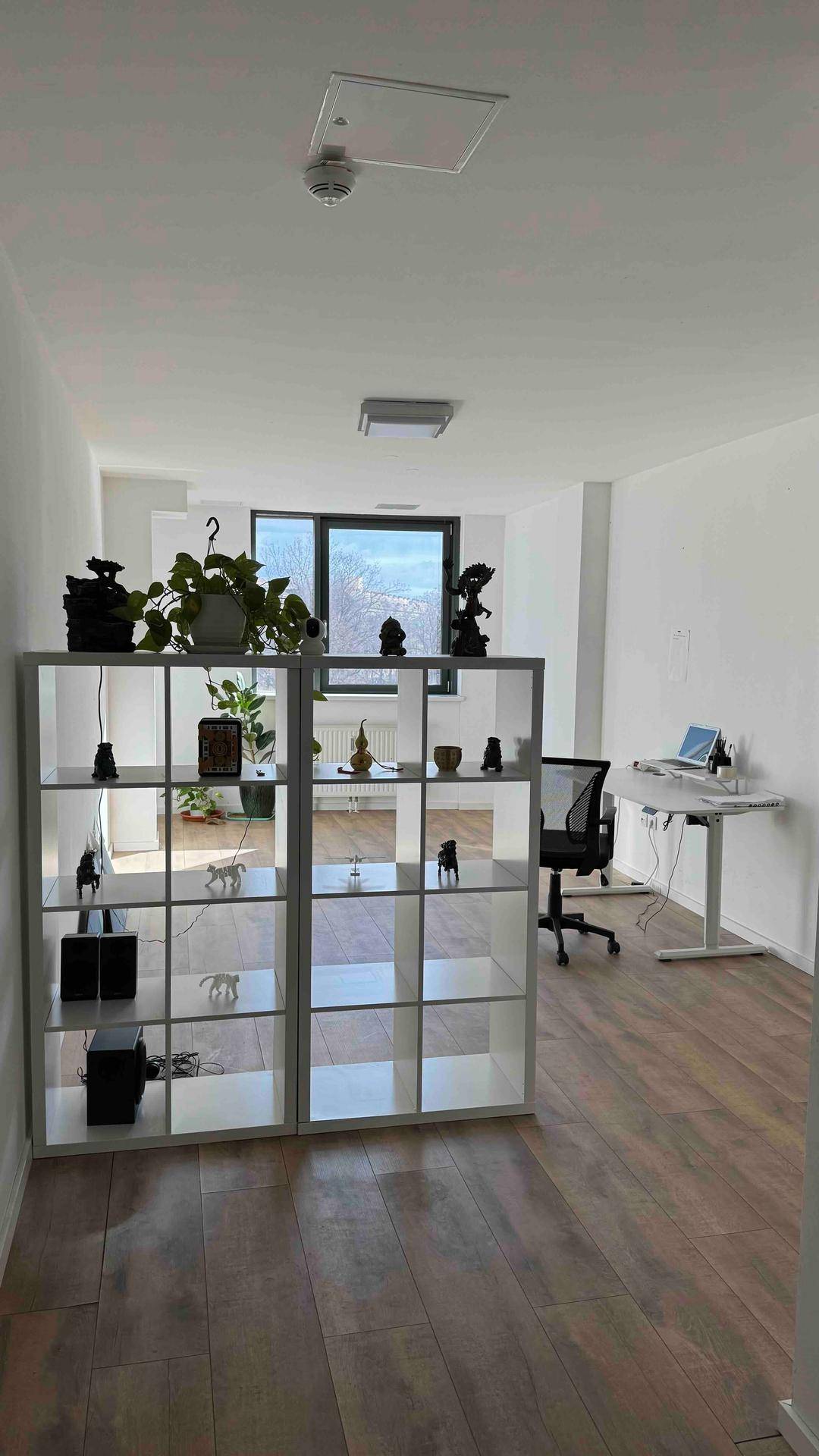 Offener Bürobereich mit weißen Regalen, Arbeitsplatz und Blick auf die Fensterfront, sehr hell und geräumig.