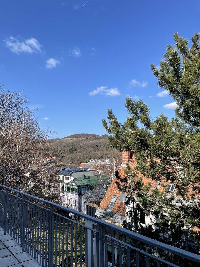 Terrasse mit Blick auf bewaldete Hügel und die Dächer der umliegenden Häuser.