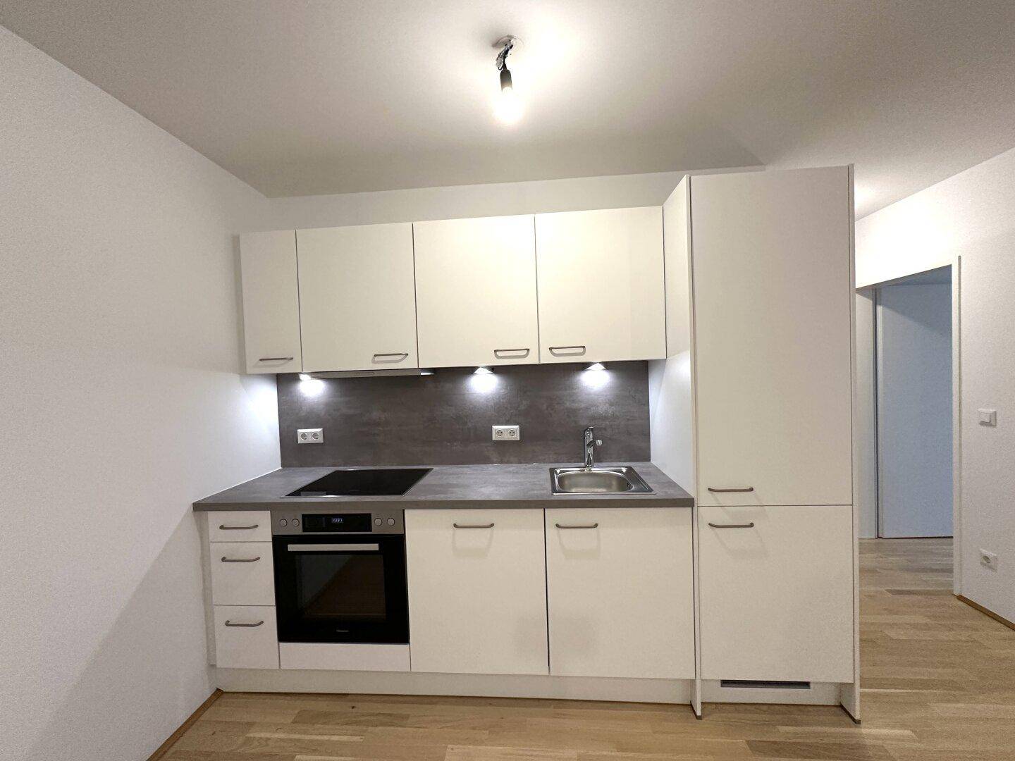 Moderne Einbauküche mit weißen Schränken, Induktionskochfeld und Backofen.