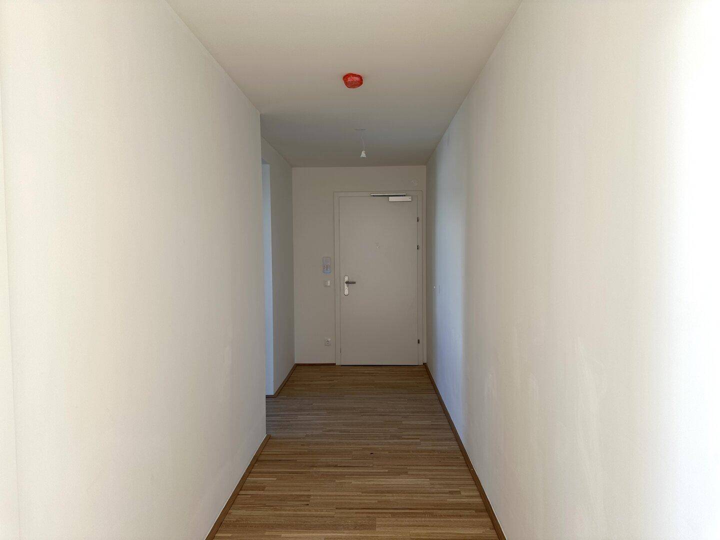 Heller Eingangsbereich mit Parkettboden und Zugang zur Wohnungstür.