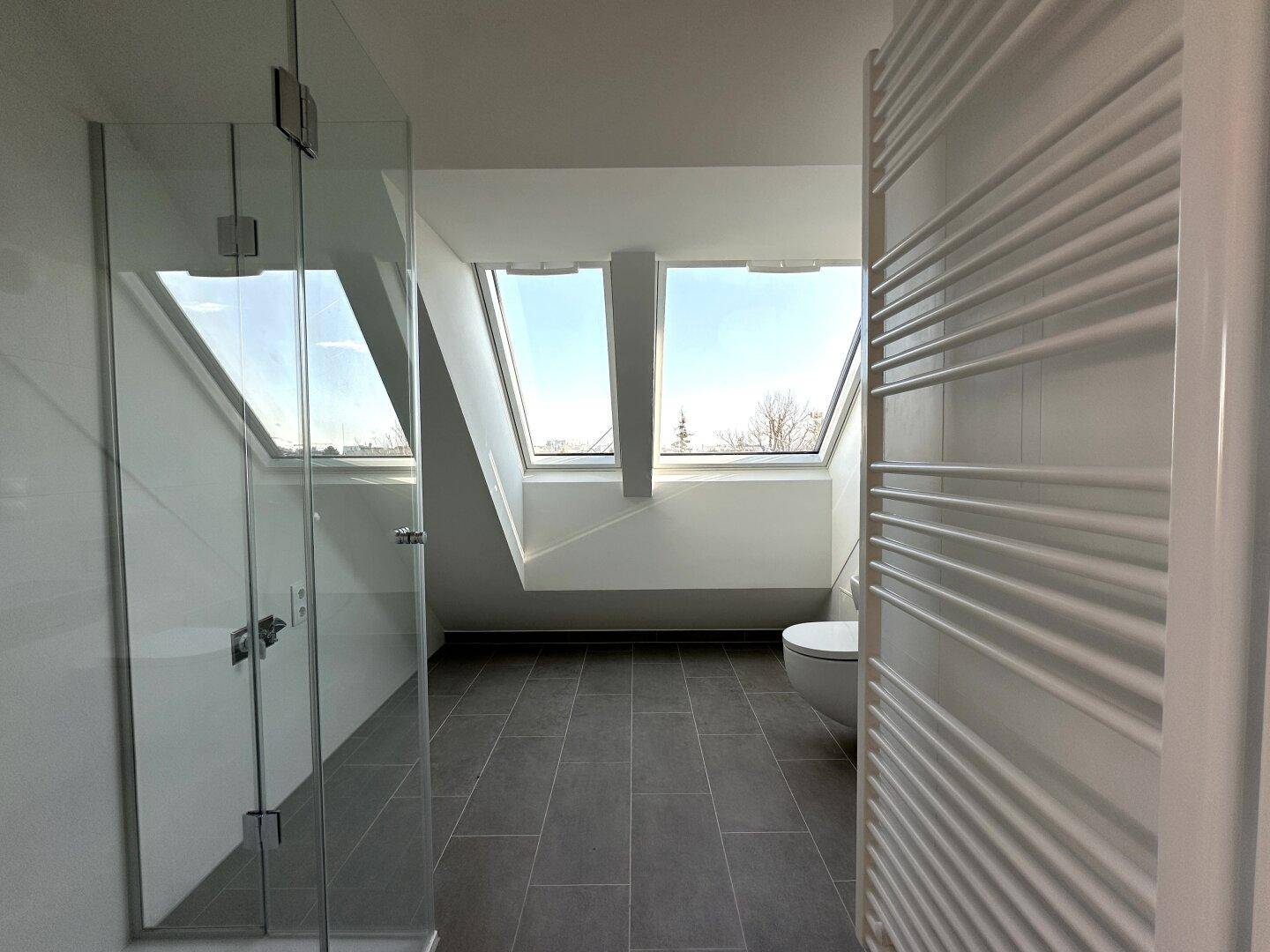 Modernes Badezimmer mit großer Glasdusche, dunklen Fliesen und Dachfenstern.