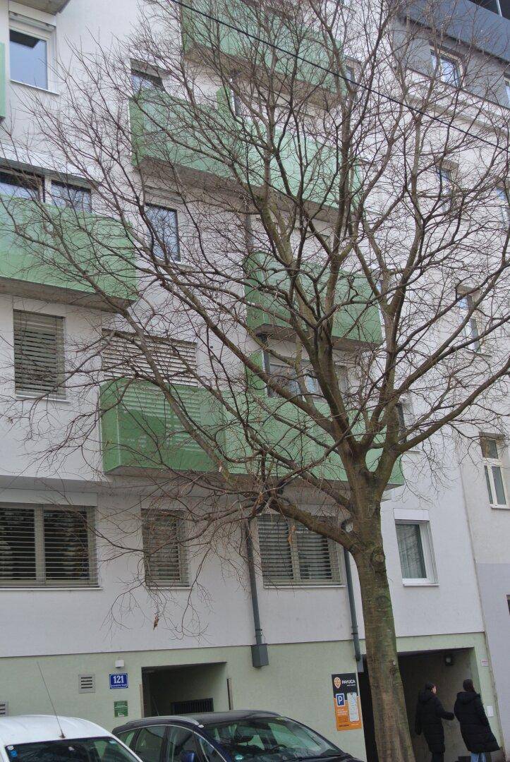 Fassade eines Wohngebäudes mit grünen Balkonen und einem kahlen Baum im Vordergrund.