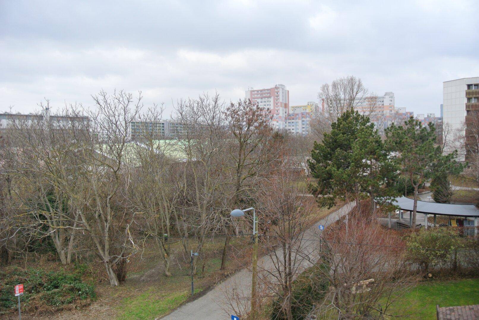 Weitläufiger Blick auf eine grüne Umgebung mit Bäumen und städtischer Bebauung im Hintergrund.