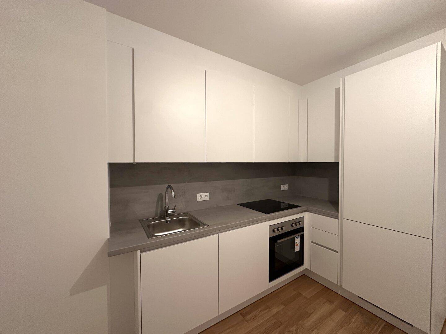 Detailansicht der modernen Küchenzeile mit Spüle, Kochfeld und Backofen.