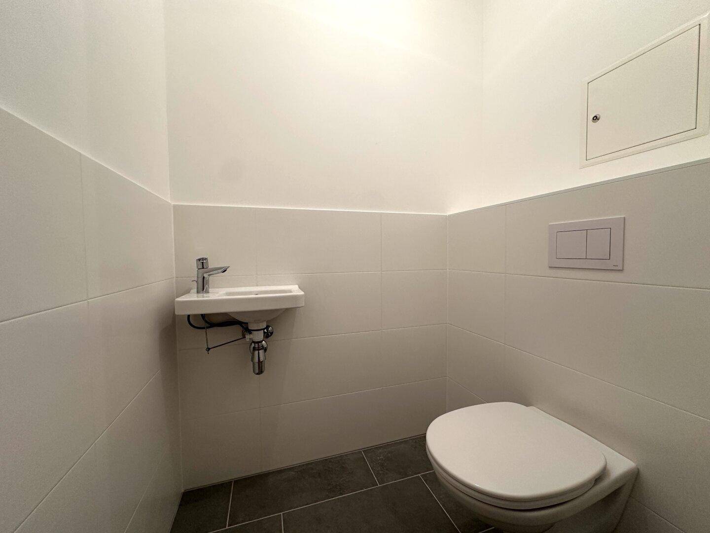 Kleines Gäste-WC mit wandhängender Toilette und Handwaschbecken.