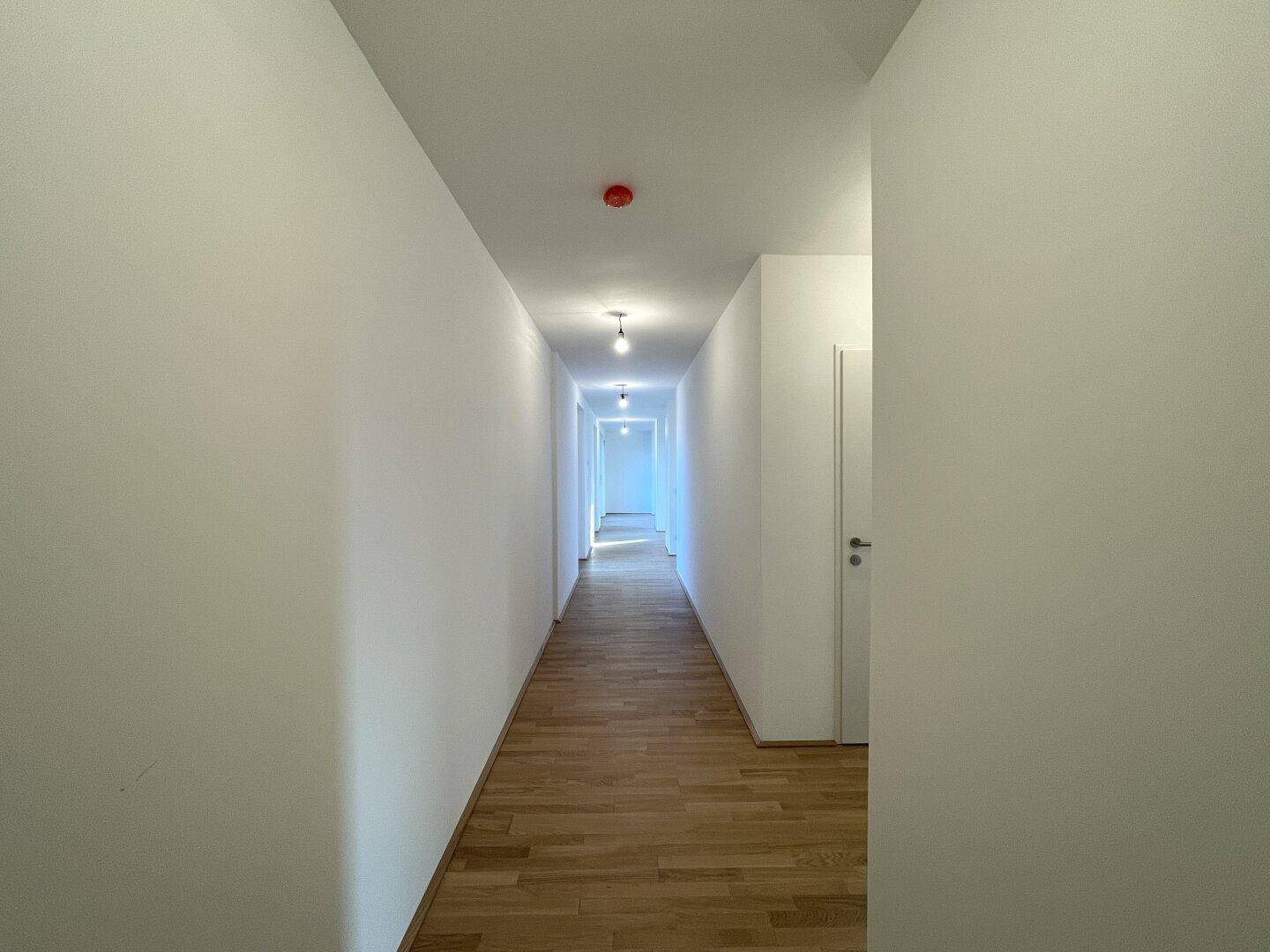 Langer, heller Flur mit Holzboden und weißen Wänden, der zu den verschiedenen Räumen führt.